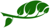 logo-evangSchSt-leaf